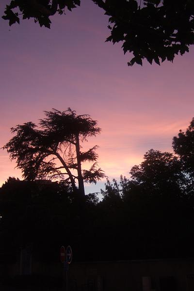 2011-05- (1789).JPG